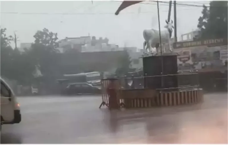 यूपी-बिहार में टूटा मौसम का कहर…
