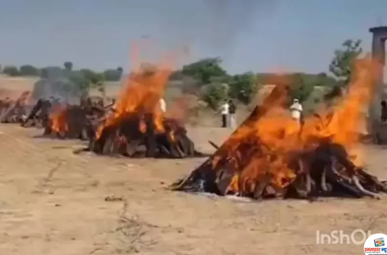 एक साथ उठीं 4 अर्थियां