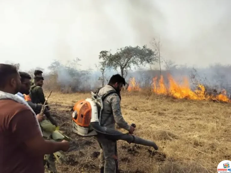 वन विभाग को आए 79 फायर अलर्ट