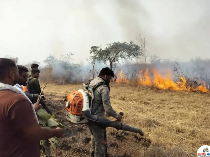 वन विभाग को आए 79 फायर अलर्ट वन विभाग को आए 79 फायर अलर्ट