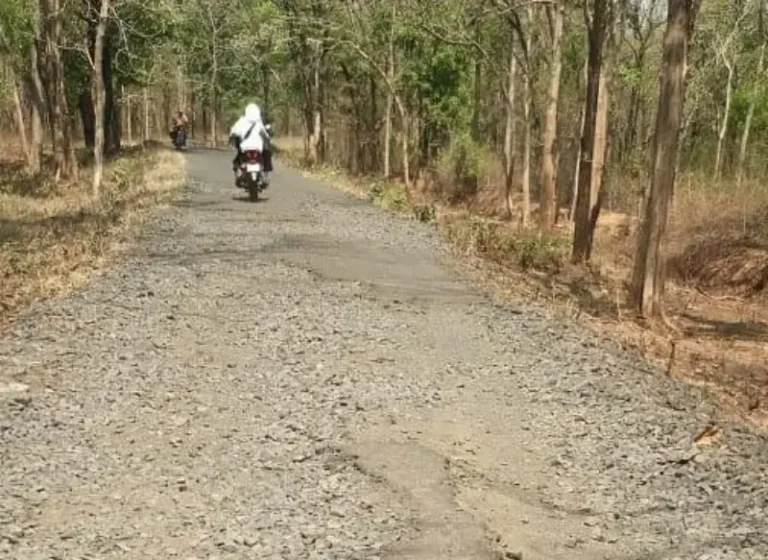 देवलापार आदिवासी भागातील रस्त्यांची दुर्दशा