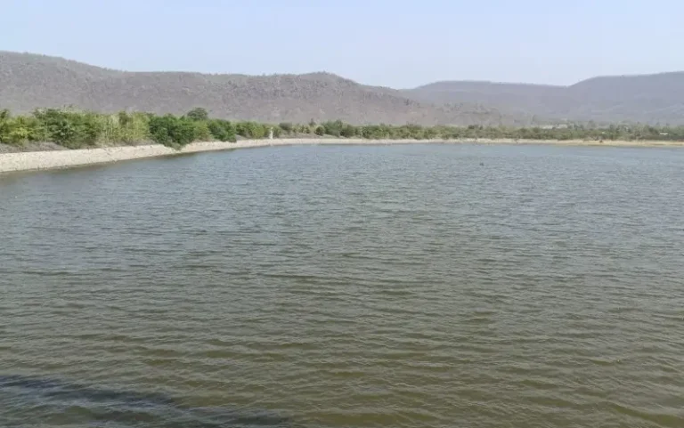 घोडदेव सिंचन प्रकल्प ठरला संत्रा उत्पादक शेतकऱ्यांसाठी वरदान ! 