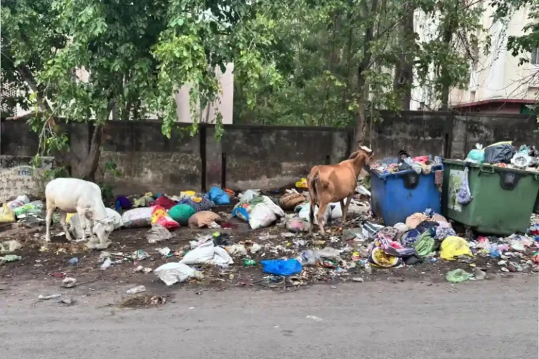 स्मार्ट सिटी नागपुर में कचरे का अंबार