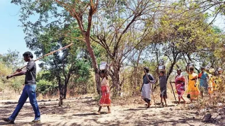 शबरी महामंडळाच्या सहकार्याने जिजामाता वनधन केंद्राची भरारी; आदिवासी महिलांना मिळाला स्वावलंबनाचा मार्ग
