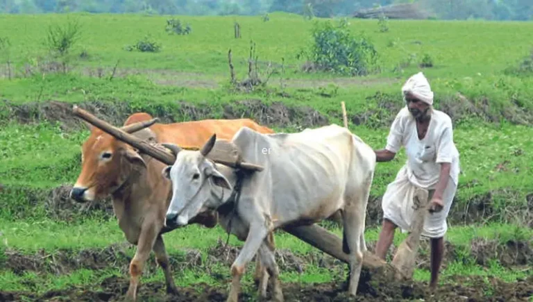 2017 और 2019 के कर्ममाफी से रहे वंचित उन किसानों को भी मिलेगी कर्जमाफी; राज्य कैबिनेट ने लिया बड़ा निर्णय