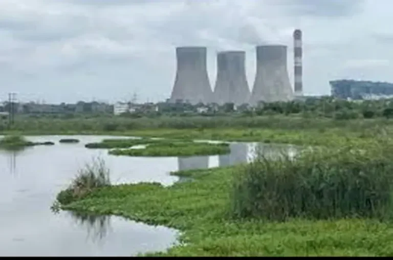 कोराडी तलाव पुनरुज्जीवनाला गती; प्रदूषणमुक्तीसाठी सविस्तर आराखड्याचे निर्देश