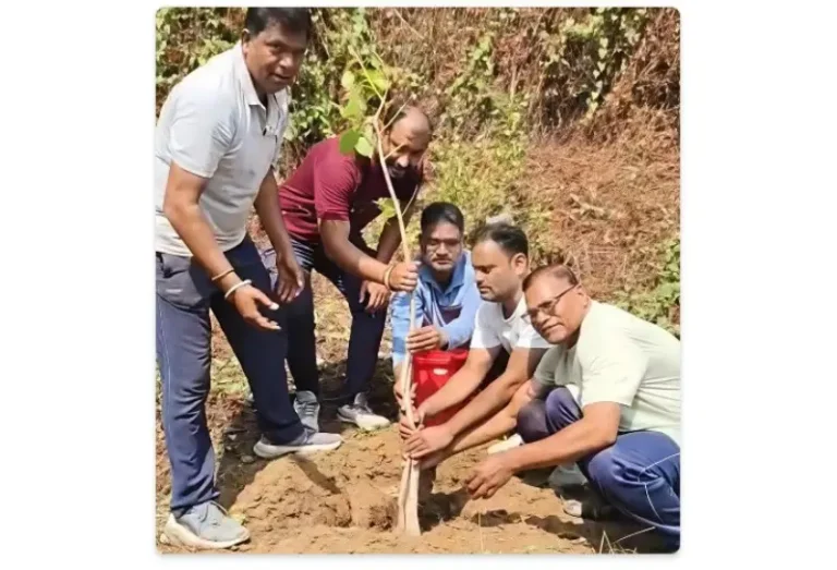विश्व पर्यावरण दिनानिमित्त एकलव्य फाउंडेशनचा स्वच्छता व वृक्षारोपण अभियान