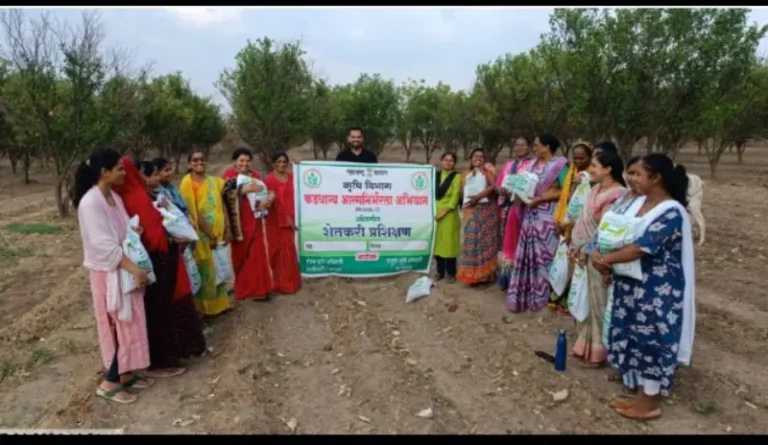 गट ग्रामपंचायत भागेमहारीत दशपर्णी अर्क निर्मितीला वेग; नैसर्गिक शेतीच्या चळवळीत महिला शेतकरी आघाडीवर