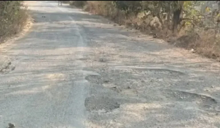 भंडारा-गोंदिया सीमेवरील प्रमुख संपर्क मार्गाची दुरवस्था; तातडीने दुरुस्तीची ग्रामस्थांची मागणी