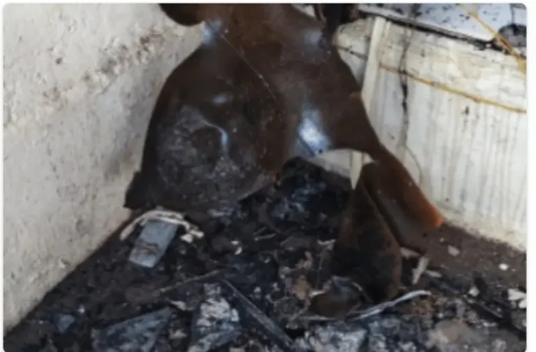 घरगुती गॅस सिलिंडरचा भीषण स्फोट; महिलेचा मृत्यू, 9 जणांना वाचवण्यात यश