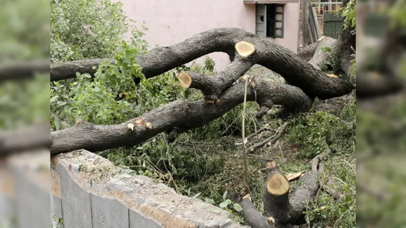 delhi_copy_800x450