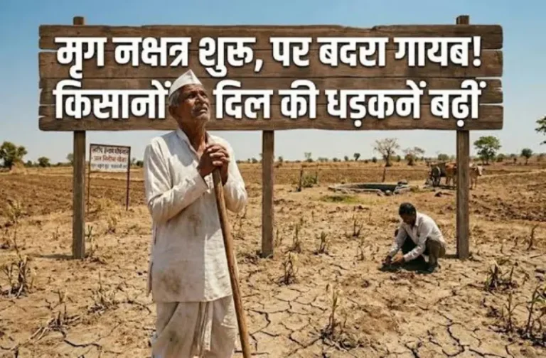 मृग नक्षत्र शुरू पर बदरा गायब