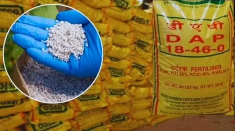 दो दिन में खाद का बफर स्टॉक खोलो, नहीं तो अधिकारियों को भी देंगे फटका!