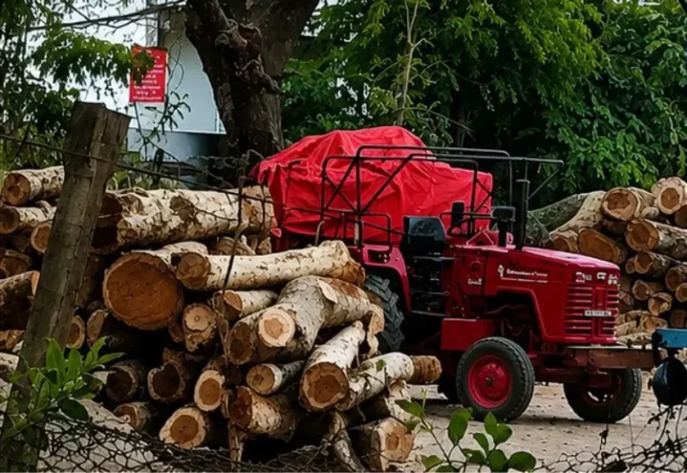 सावनेर वन क्षेत्र में हरियाली पर डाका? करोड़ों की अवैध लकड़ी का खेल, तत्काल छापेमारी हुई तो मचेगा हड़कंप!
