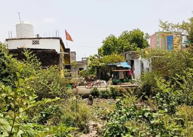 संजीवनी नगर परिसरातील विविध समस्या तातडीने सोडविण्याची मागणी