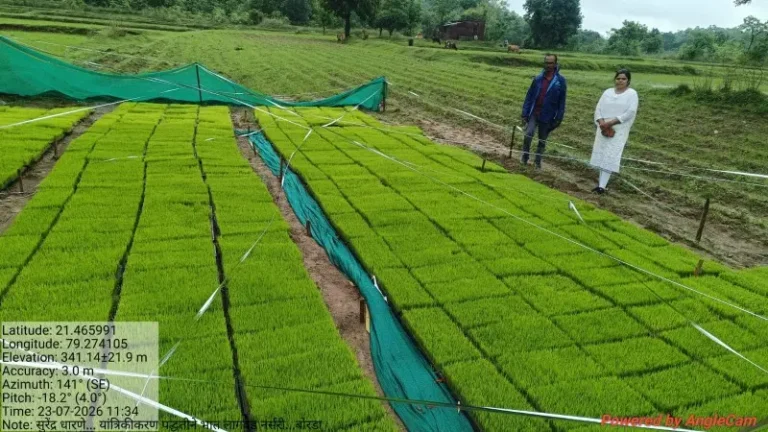 मशीनीकरण के माध्यम से धान लगाने का प्रशिक्षण