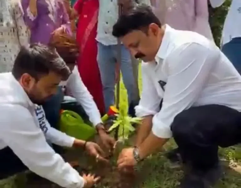 अजीत पवार की जयंती पर हुआ भव्य वृक्षारोपण