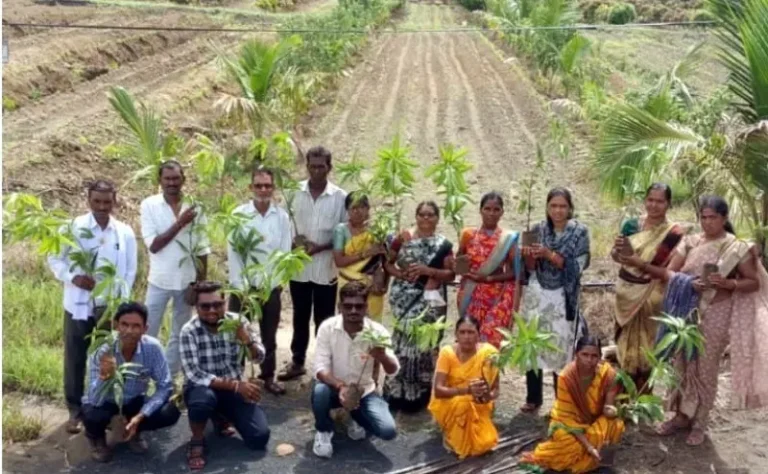 एक पेड जगद्गुरुश्री के नाम उपक्रम अंतर्गत घोगुलधरा येथे वृक्षारोपण…