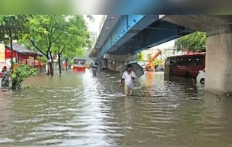 शहरी पूर: नियोजनातील त्रुटी की…