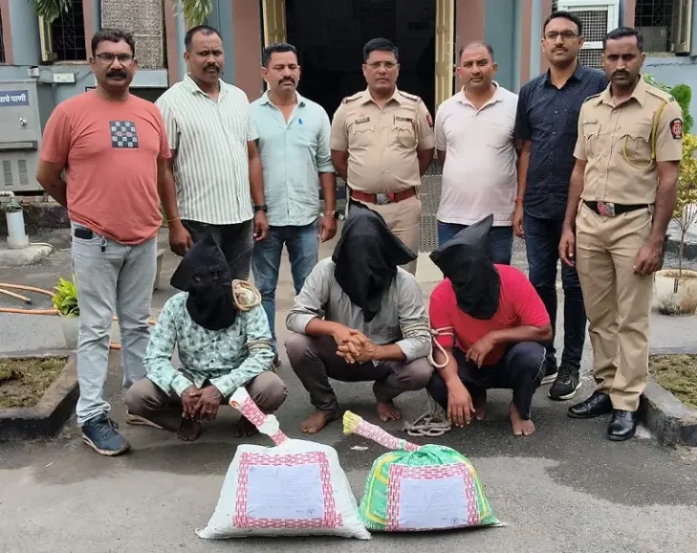 ओडिशा से नागपुर आ रही गांजे की खेप पकड़ी