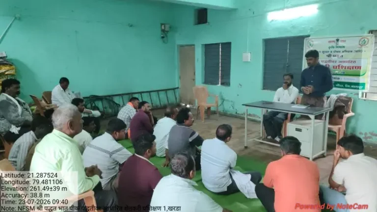 खरडा येथे श्री पद्धतीने भात लागवड प्रशिक्षण
