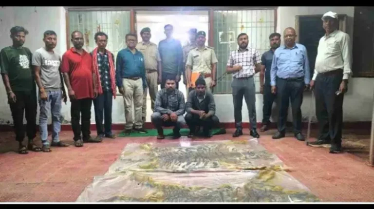 पुलिस सिपाही और होमगार्ड ही निकले बाघ की खाल के तस्कर