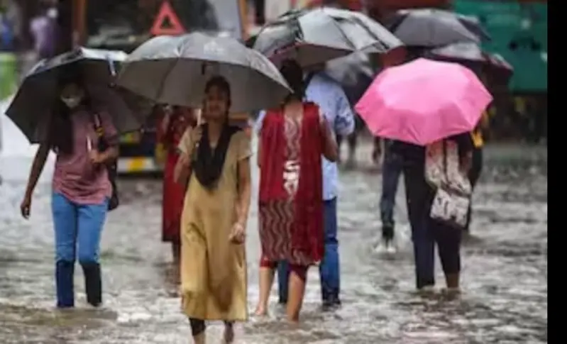 नागपुर जिले में 55.2 मिमी औसत वर्षा नागपुर जिले में 55.2 मिमी औसत वर्षा