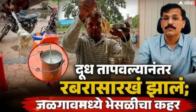 डेअरीमधून आणलेलं दूध तापवल्यानंतर रबरासारखं झालं; जळगावमध्ये भेसळीचा कहर