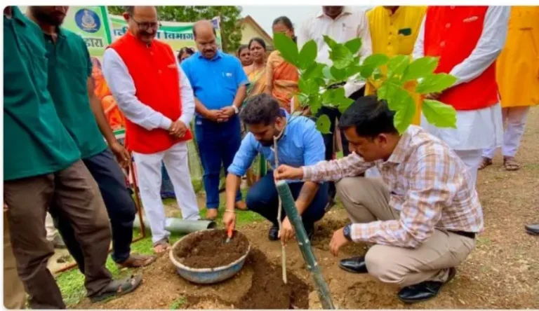 ‘हरित भंडारा’चा संकल्प; जिल्हाधिकाऱ्यांच्या उपस्थितीत ५०० वृक्षांची लागवड