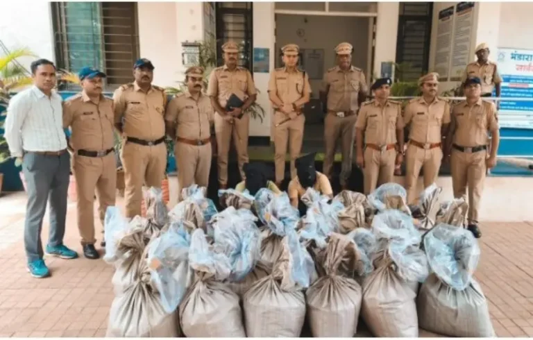 साकोली पोलिसांची मोठी कारवाई: १ कोटी ३४ लाखांचा गांजा जप्त; आंतरराज्य टोळी जेरबंद