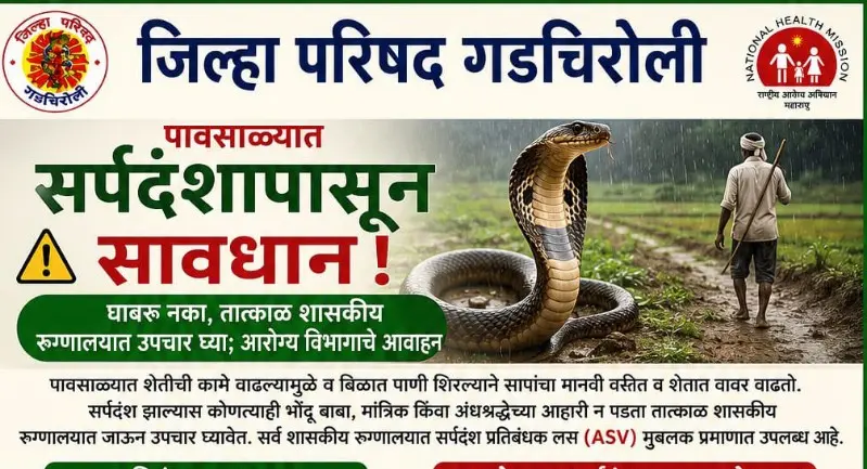 पावसाळ्यात सर्पदंशापासून सावधान! घाबरू नका, तात्काळ शासकीय रुग्णालयात उपचार घ्या; आरोग्य विभागाचे आवाहन पावसाळ्यात सर्पदंशापासून सावधान! घाबरू नका, तात्काळ शासकीय रुग्णालयात उपचार घ्या; आरोग्य विभागाचे आवाहन