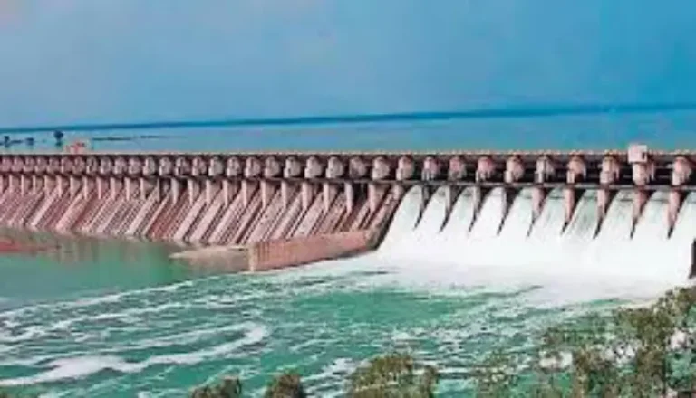 रेतीघाट, धरण आणि अचानक पाणी विसर्गामुळे ढीवर समाजावर तिहेरी संकट; विदर्भ युवा क्रांती संघटनेचा आठ दिवसांचा अल्टिमेटम