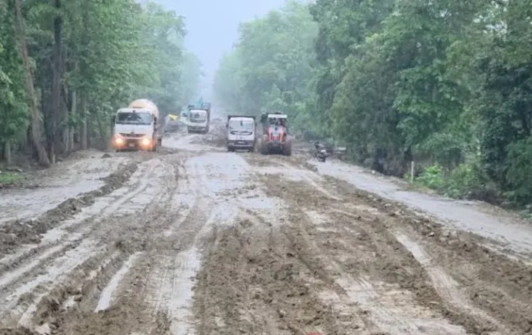 सिरोंचा–आलापल्ली मार्गावर ३१ ऑक्टोबरपर्यंत जडवाहतुकीस प्रतिबंध