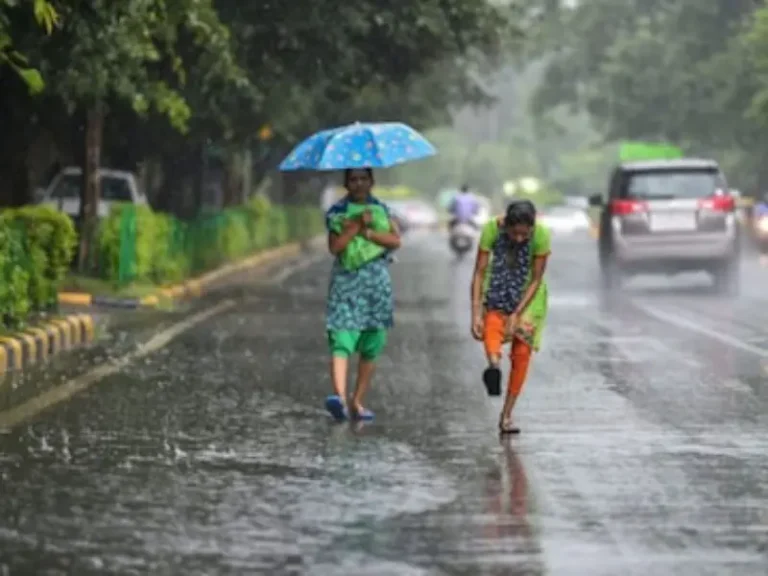 विभागातील सर्व जिल्ह्यात समाधानकारक पाऊस