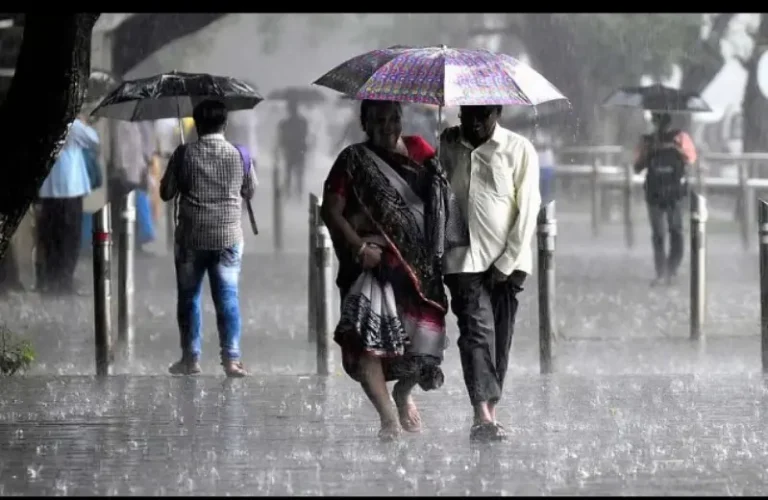 जिल्ह्यात सरासरी 20.7 मिमी पावसाची नोंद
