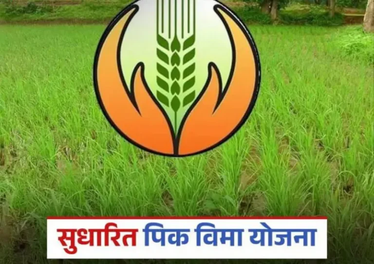 एल निनोच्या पार्श्वभूमीवर पिक विमा संरक्षणासाठी शेतकऱ्यांनी तातडीने नोंदणी करावी : कृषी विभाग