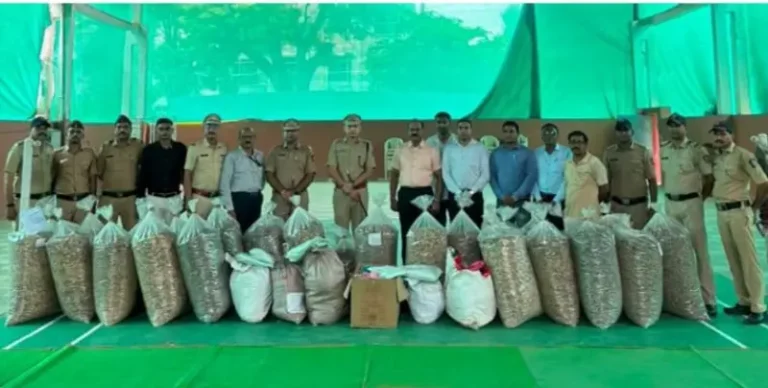 भंडारा पोलिसांची मोठी कारवाई; ७० लाखांचा ३८६ किलो अमली पदार्थ केला नष्ट