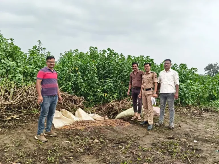 मकरधोकडा येथे कारधा पोलिसांची मोठी कारवाई; २४० किलो मोहा सडवा जप्त