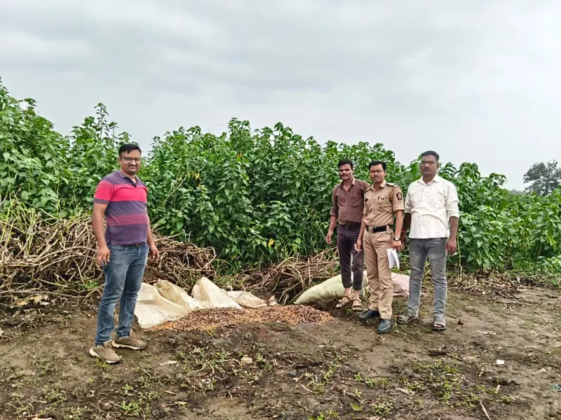 मकरधोकडायेथेकारधापोलिसांचीमोठीकारवाई;२४०किलोमोहासडवाजप्त_copy_800x600