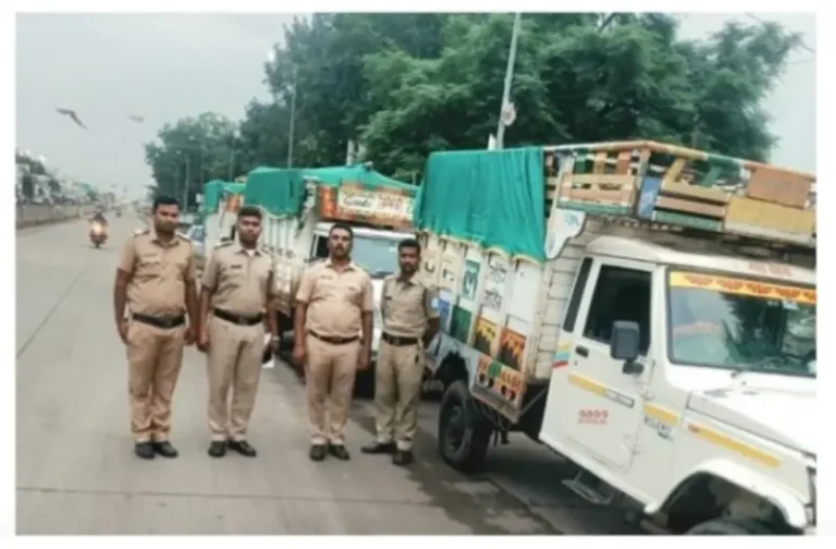 १४ जनावरांची अवैध वाहतुक करणाऱ्या तिघांवर कन्हान पोलिसांची कारवाई