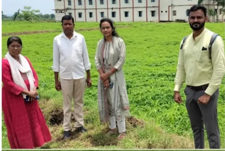 जमीन सुपीकतेसाठी ‘धेंचा’ ठरतोय वरदान