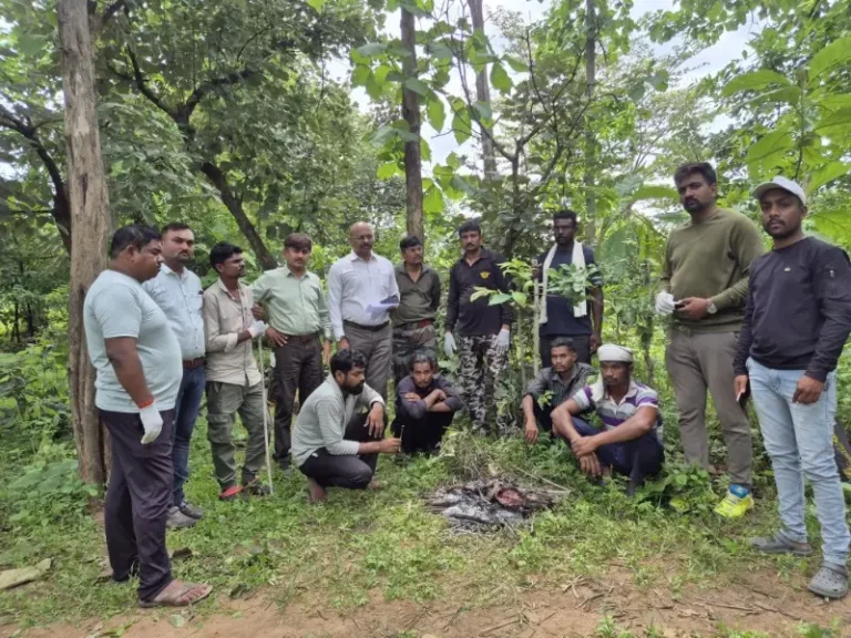 पवनी वनक्षेत्र में घोरपड़ का शिकार ; चार गिरफ्तार