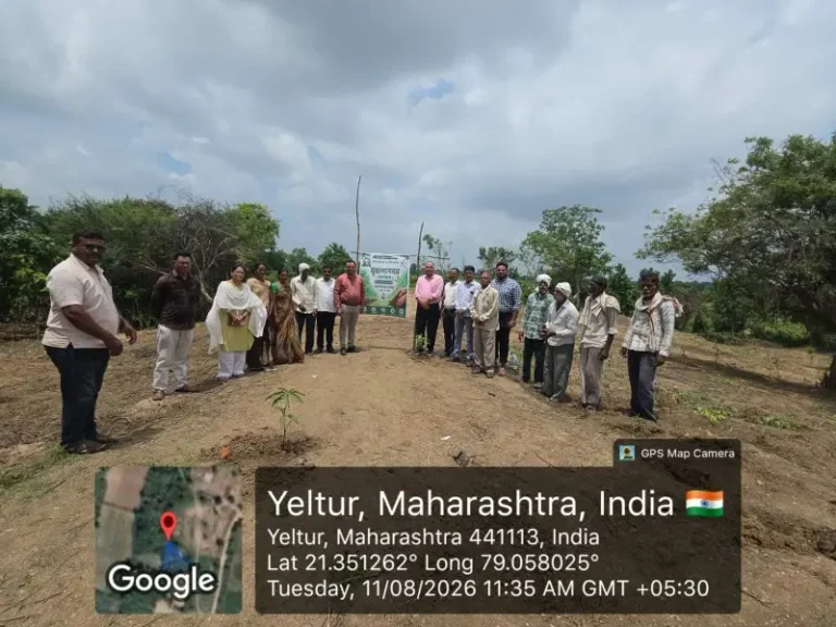 हरित महाराष्ट्र अभियानातून सावनेर तालुक्यात वृक्षारोपण, वेलतूरसह चार ग्रामपंचायतींमध्ये विविध उपक्रम; ७६ ग्रामपंचायतींतही वृक्षलागवड