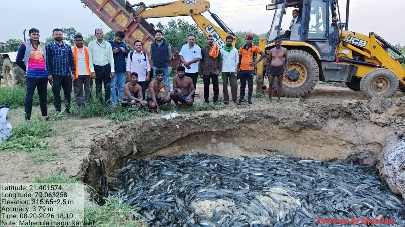 Fish_copy_800x450