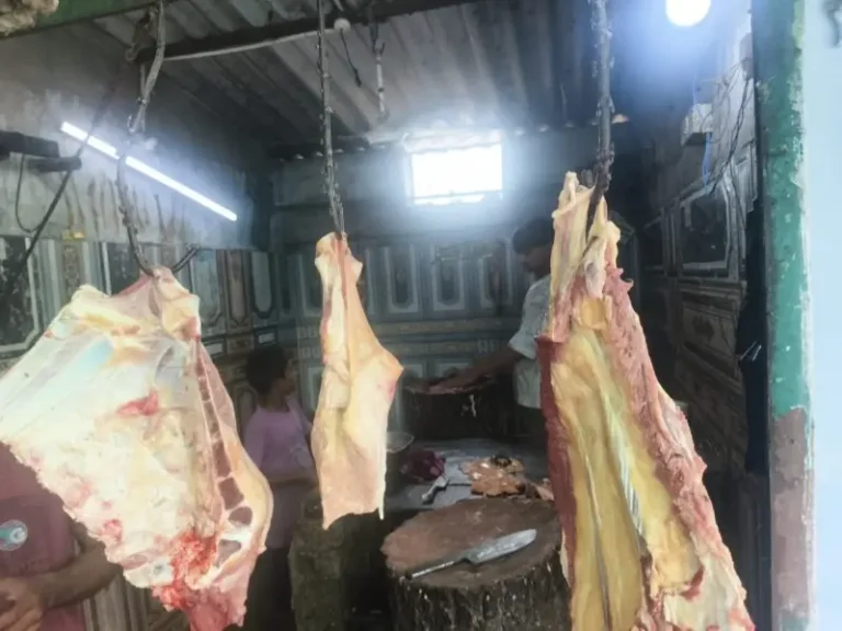 कामठीत गोमांस विक्रीचा पर्दाफाश! पोलिसांचा धडाकेबाज छापा; ५० किलो मांसासह १२ हजारांचा मुद्देमाल जप्त