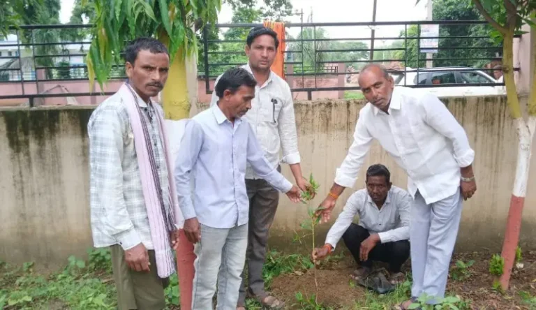 तारसा – धामणगाव जि प क्षेत्रात“एक पेड माँ के नाम” या उपक्रमांतर्गत वृक्षारोपण