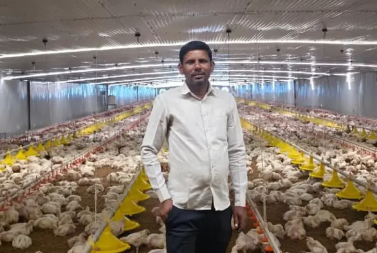 मातीशी नातं जपत शेतीला व्यवसायाची जोड; निलेश चौधरींची ४० हजार पक्ष्यांपर्यंत भरारी