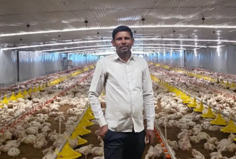 मातीशी नातं जपत शेतीला व्यवसायाची जोड; निलेश चौधरींची ४० हजार पक्ष्यांपर्यंत भरारी मातीशी नातं जपत शेतीला व्यवसायाची जोड; निलेश चौधरींची ४० हजार पक्ष्यांपर्यंत भरारी