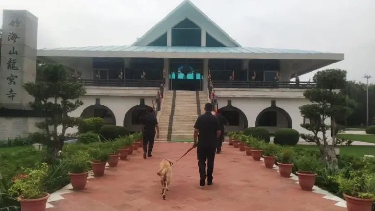 ईद व रक्षाबंधन तसेच आगामी सणांच्या पार्श्वभूमीवर कामठीच्या ड्रॅगन पॅलेस टेम्पल येथे बॉम्ब शोधक व नाशक पथकाकडून कसून तपासणी