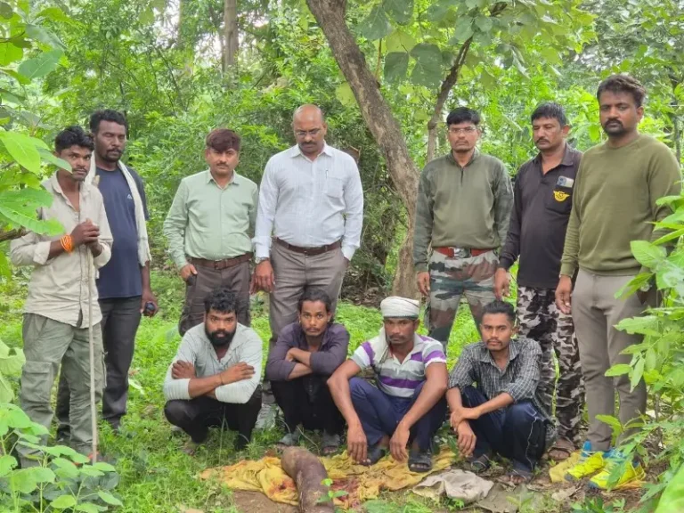 2 मॉनिटर लिजर्ड के शिकार का पर्दाफाश